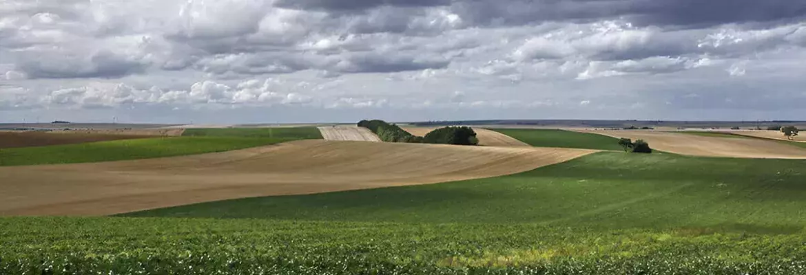 ландшафт