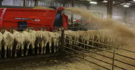 PRIMOR 15070 M au travail