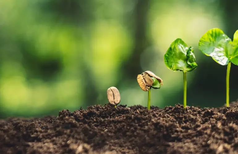 Cultivating a better world