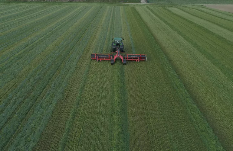 Ленточный валкообразователь MERGE MAXX 1090 в работе на поле люцерны