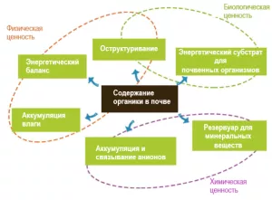 Organic material cycle