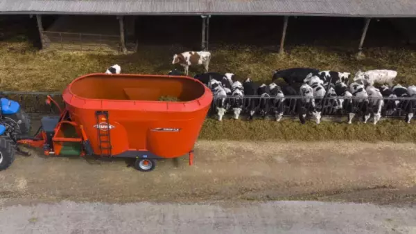 PROFILE 2 CM: right and left distribution with cross conveyor