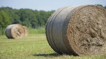 Тюки плотной формы с обвязкой сеткой